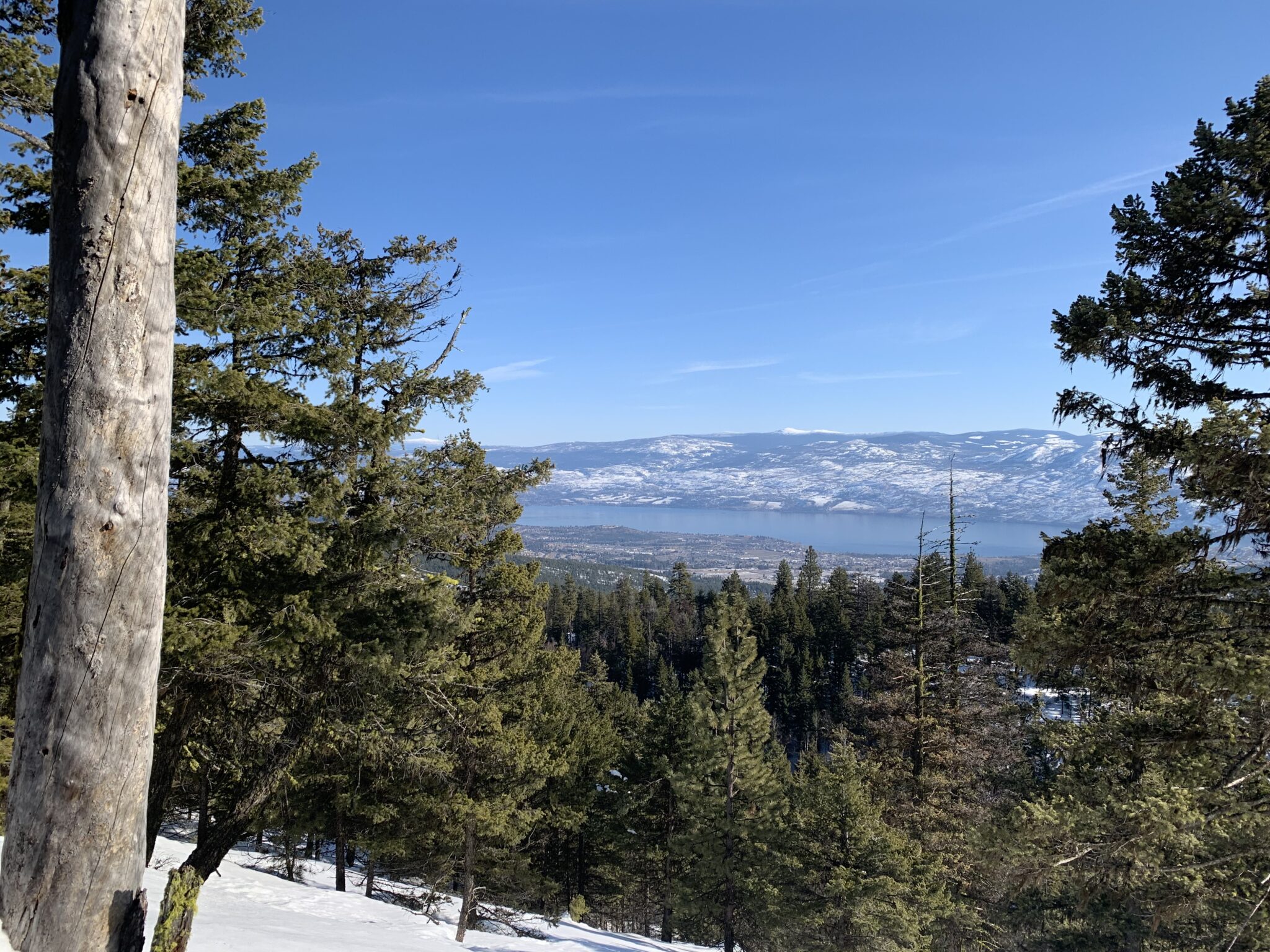 New Snowshoe Trail at Telemark
